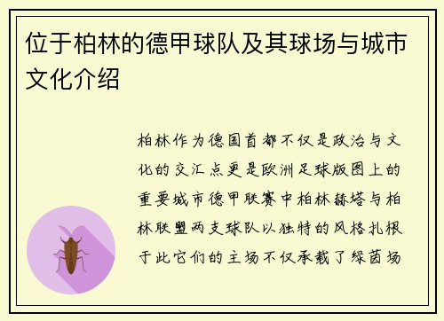 位于柏林的德甲球队及其球场与城市文化介绍